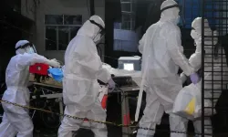 Hantavirüs alarmı: Yeni vakalar tespit edildi, yolcular ev karantinasında