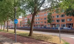 Hollanda'da ev fiyatlarındaki yükseliş yeniden hız kazandı