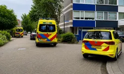 Hollanda'da bugün bir çocuk daha pencereden düştü