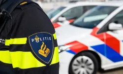 Hollanda'da sıcakta araçta bırakılan 2 yaşındaki çocuk ölümden döndü