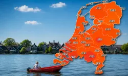 Hollanda'da sıcaklıklar 37 dereceye çıkacak: Kurumlar peş peşe önlem alıyor