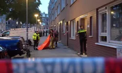 Rotterdam'da pencereden düşen 2 yaşındaki çocuk hayatını kaybetti