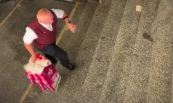 Almanya'da ilginç olay: Kondüktör treni durdurup tuvalet kağıdı almaya gitti