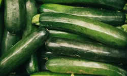 Belçika'da Aldi marketlerinde satılan kabaklar geri çağrıldı