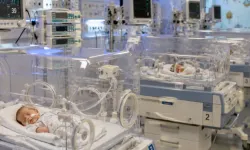 Almanya'da yenidoğan servisinde bakteri alarmı: Bir bebek hayatını kaybetti