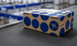 Hollanda'da Bol.com'da veri sızıntısı: Müşteri bilgileri ele geçirilmiş olabilir