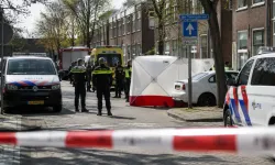 Hollanda'da kadın cinayetlerinin çoğunu eşler veya eski eşler işliyor