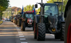 Hollanda’da yüzlerce çiftçiden eyalet yönetiminin ruhsat kararına protesto