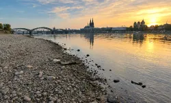 Almanya'da Ren Nehri'nin su seviyesi tarihi düşük seviyeye geriledi