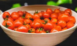 Almanya’da market domatesleri test edildi: Bazılarında 5 farklı pestisit bulundu