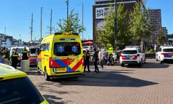Amsterdam’da tasmasız köpek yüzünden çıkan tartışmada cezaevi çalışanı öldürüldü