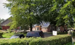 Hollanda’da koruyucu ailede cinsel istismar iddiası: Dört çocuk evden alındı
