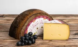 Hollanda’da bir peynir daha Listeria riskiyle geri çağrıldı
