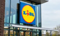 Hollanda’da Lidl’ın Birkenstock taklidi sandalet satması yasaklandı