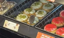Hollanda'da donut mağazasının vitrininde görülen fare gündem oldu