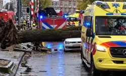 Hollanda'da fırtına hasara yol açtı, KNMI'den yeni uyarı geldi
