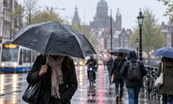 Hollanda’da havalar soğuyor, Perşembe’den itibaren yağmur etkili olacak