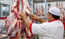 Hollanda'da helal kesimin yasaklanması için yeniden yasa teklifi sunuldu