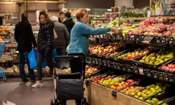 Hollanda'da kriz hazırlığı: Elektrik kesintilerinde açık kalacak marketler planlanıyor