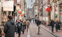 Hollanda'da nüfus artışı giderek yavaşlıyor