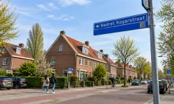 Hollanda'nın Utrecht kentinde üç sokağa Türk isimleri verilecek