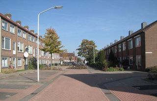 Hollanda’da evinde aylardır ölü olan bir kadının cesedi bulundu