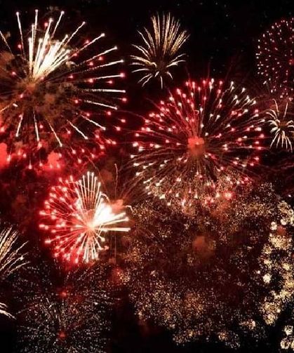 Almanya’da milyonlarca kişi hava fişeğin yasaklanmasını istiyor