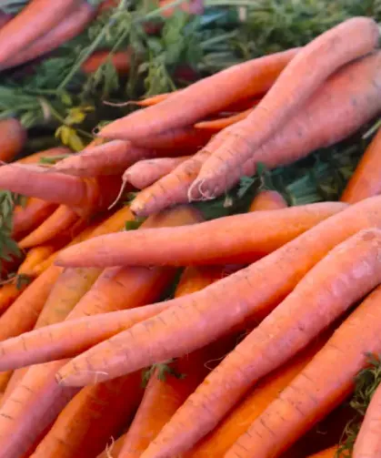 Fransa’da Lidl’de satılan organik havuçlar aşırı kimyasal nedeniyle geri çağrıldı