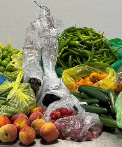 Almanya’da Türkiye’den gelen çiftin bagajından 60 kilo meyve ve sebze çıktı