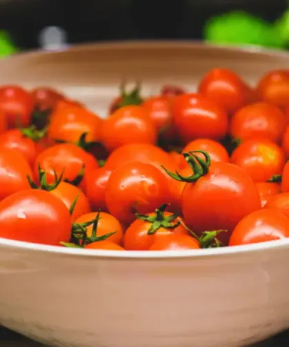Almanya’da market domatesleri test edildi: Bazılarında 5 farklı pestisit bulundu