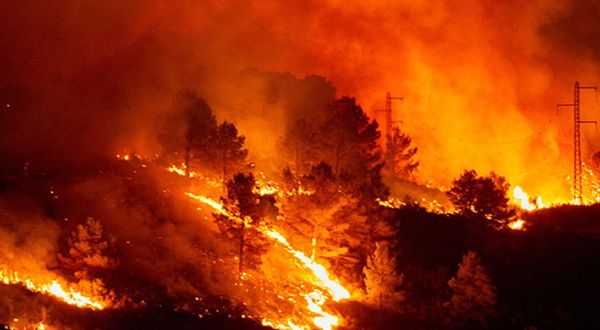 Hollandalı firma İspanya’daki yangından sorumlu olduğunu açıkladı