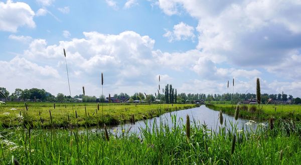 Hollanda’da kuraklığın devam etmesi halinde yeni önlemler alınabilir