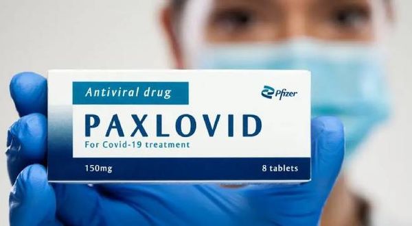 Hollanda’da bakanlık Covid ilacı Paxlovid’i temel sağlık paketine aldı