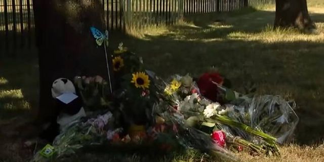 Hollanda’da öldürülen 9 yaşındaki Gino’nun annesi evinde ölü bulundu