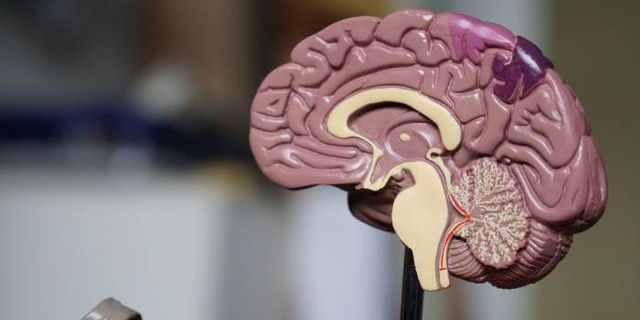Japonya, Alzheimer hastalığının belirtilerini teşhis eden test kitine onay verdi