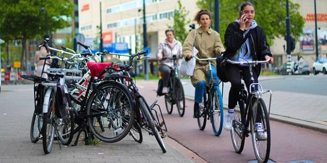 Hollanda’da bisikletle işe gidenlerin sayısı giderek artıyor