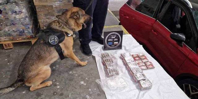 Hollanda’dan Türkiye’ye giden araçta 6 kilo haşhaş, yarım kilo kokain bulundu