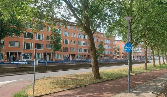 Hollanda'da geçici kiralık sözleşmeler yasaklandı