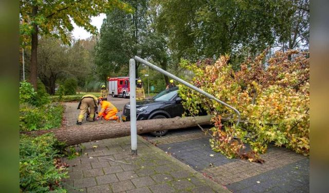 Ciaran Fırtınası Hollanda, Belçika ve Fransa’da ölümlere neden oldu