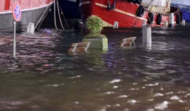 Hollanda'da Pia fırtınası su baskınlarına yol açtı, birçok bölge zarar gördü