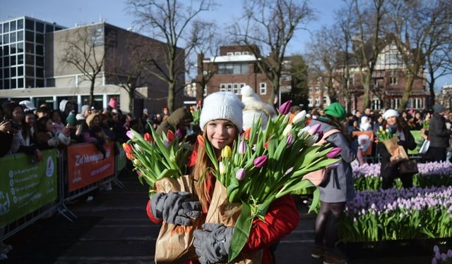 Amsterdam lale bahçesine döndü, Ulusal Lale Günü'nden kareler