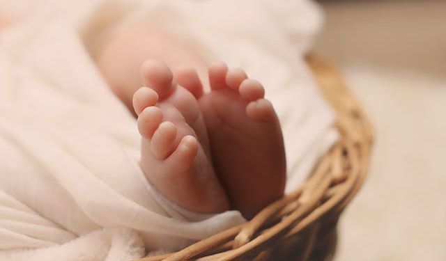 Hollanda'da Amsterdam ve Rotterdam şehirlerinde yetim bebek odaları açıldı