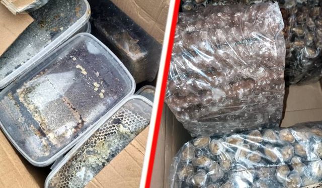 Almanya'ya giden gurbetçi 300 kilo bal ve 300 kilo yiyecekle yakalandı