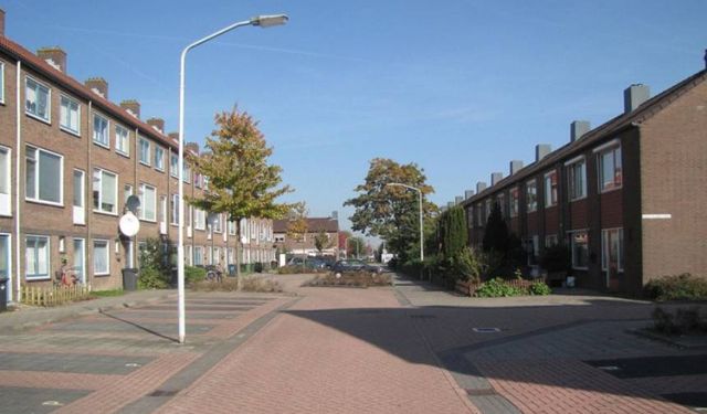 Hollanda’da evinde aylardır ölü olan bir kadının cesedi bulundu
