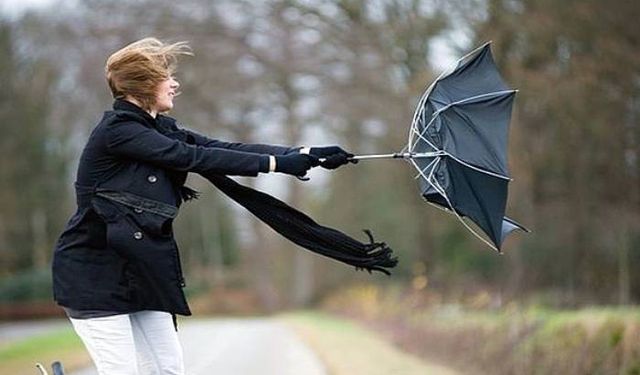 Hollanda’da meteorolojiden şiddetli rüzgar uyarısı!