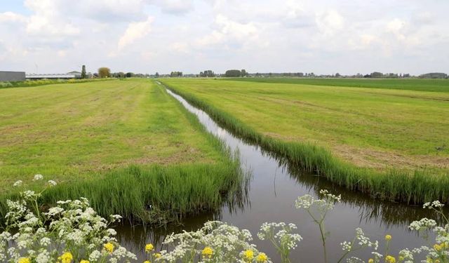 Hollanda’da yeni kurulacak 8 bin konutluk köye isim aranıyor