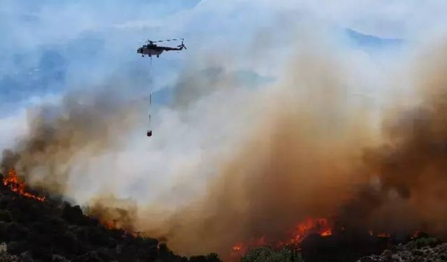 Türkiye'nin dört bir tarafında yangın: 3 bin 583 kişi tahliye edildi