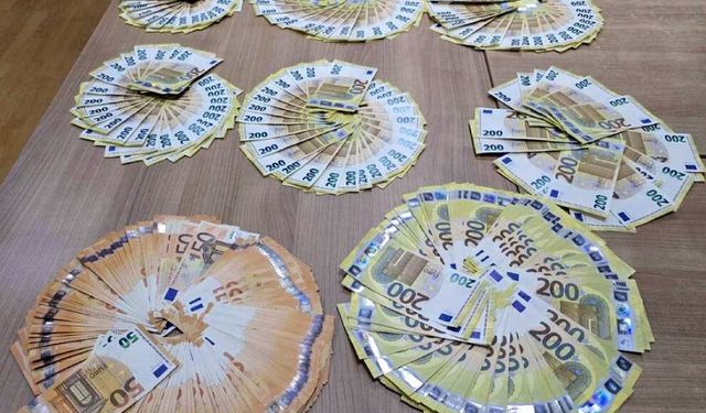 Sırbistan sınırında 80 bin euroya el konuldu