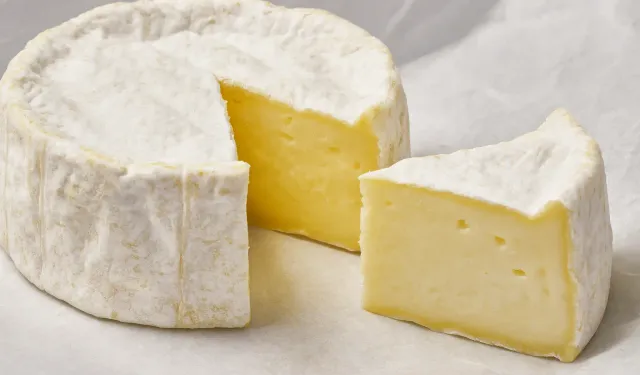 Fransa’da listeria bakterili peynir iki can aldı: 21 kişi hastanelik oldu