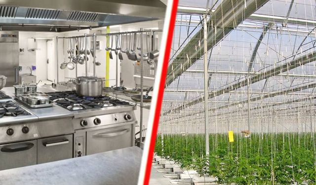 Türkiye’den aşçı olarak Hollanda’ya gelen işçi, taşeron firmanın mağduru oldu
